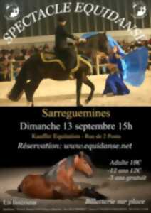 Spectacle EquiDanse