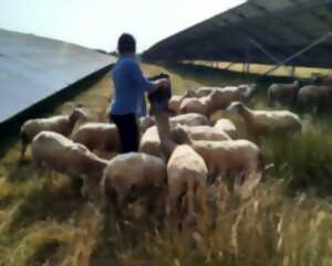 Exposition photo « Paysage rural ruscadien en danger »