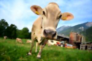 photo Comice agricole à Saint-Julien-aux-Bois