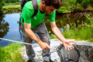Visite guidée « Déchets et espèces invasives, quels risques pour notre biodiversité ? »