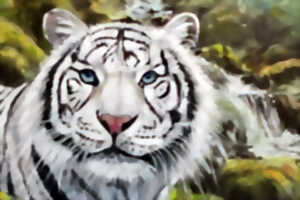 photo Exposition de Pastels