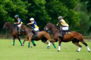 Médoc Polo Tournament