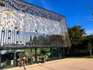 Programmation Spectacles Le Miroir