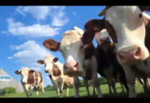 photo Portes ouvertes de la Ferme de la Bazinière