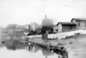 photo Lecture de paysage en bords de Vienne - Visite Guidée