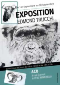 ACB Artisanat et Création du Boulonnais : Exposition  Edmond TRUCCHI