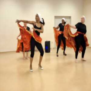 photo Découverte des danses traditionnelles des Antilles