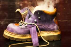 photo Cendrillon