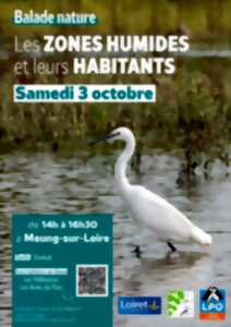Balade nature : Les zones humides et leurs habitants