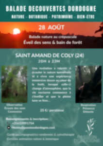 Balade nature au crépuscule