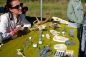Sur la piste des animaux : empreintes et compagnie