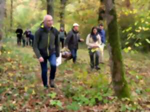 Champignons en Sologne