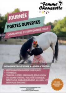 Porte Ouverte La Femme Chaussette