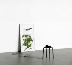 photo Exposition 