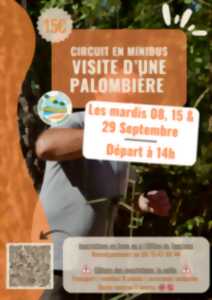 Mini-circuit : Visite d'une palombière