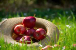 Marché de producteurs et créateurs