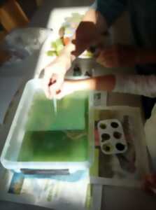 photo Atelier parents-enfants (2-6 ans) : la peinture dans la nature - Petite Camargue Alsacienne