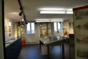 Journées européennes du patrimoine - Musée du patrimoine thaonnais