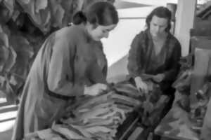 Journée du matrimoine à La Traverse | Les ouvrières du tabac