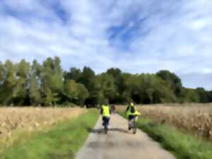 Rallye touristique à vélo