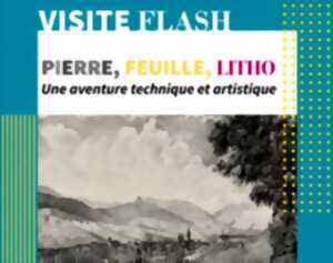 photo Visite Flash : Exposition Pierre, Feuille, Litho