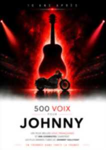 photo 500 VOIX POUR JOHNNY