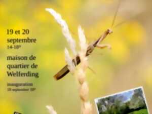 Journées du Patrimoine - expo photo, la beauté de la biodiversité dans nos jardins