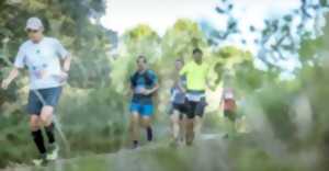 Trail des Vendanges