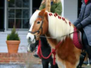 photo Promenades en poney