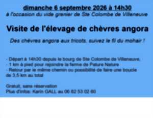 Visite d'élevage de chèvres angora 2026