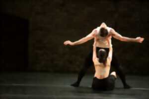 photo Collectif Nest - Festival International de danse jazz d’hiver