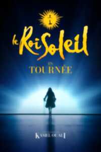 photo LE ROI SOLEIL