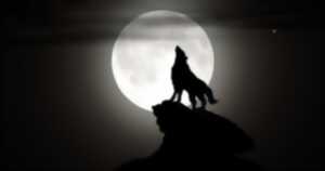 Loup-Garou de Thiercelieux Enfants 7/10 ans