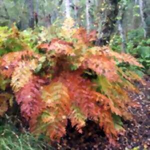 photo Balade nature