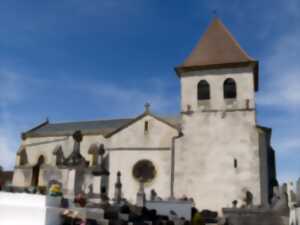 Découverte de l'église Saint-Salvy