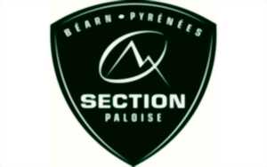 Rugby TOP14 - Section Vs Castres