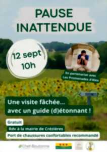 Pause Inattendue