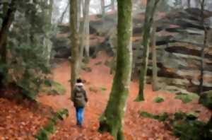 Randonnée CAP Chambon - Toulx ste Croix - 8km