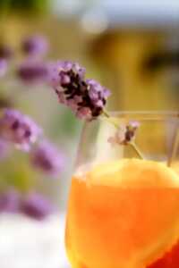 Atelier boissons gazeuses naturelles