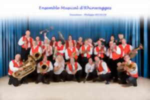 Concert ensemble musical D'RHINWAGGES