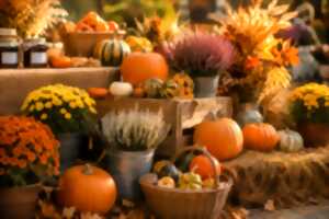 photo Marché d'automne