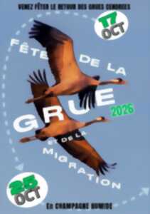 Fête de la Grue : Couchers de grues sur la RNN de l'étang de la Horre