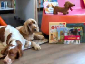 Lire avec les chiens
