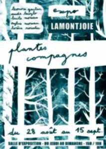 Exposition : Plantes compagnes