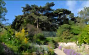 photo Initiation à la création d'un jardin forêt