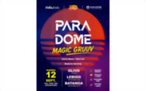 Foire de Pau: 