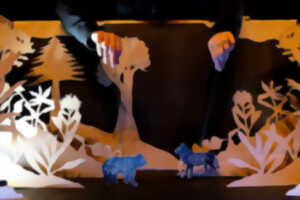 photo Saison culturelle - Un animal, des animals