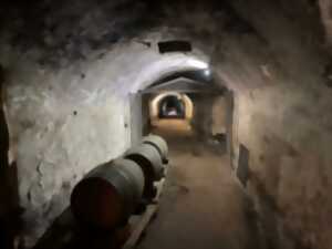 Visite guidée : un village sous terre