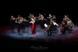 ORCHESTRE DE CHAMBRE DE TOULOUSE