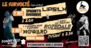 FESTIVAL LE SURVOLTE